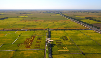 科技賦能 綠色崛起——扎賚特旗農畜產品加工產業集群入圍自治區級名單